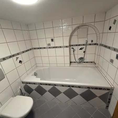 Отель Schoene Aussicht Renoviert Бад-Фридрихсхалль